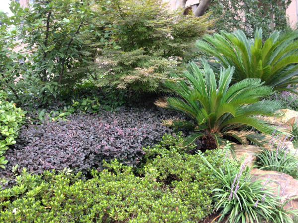 GG扑克的愿景与理念